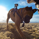 Illustration for article titled GoPro Finally Has a Dedicated Dog Mount